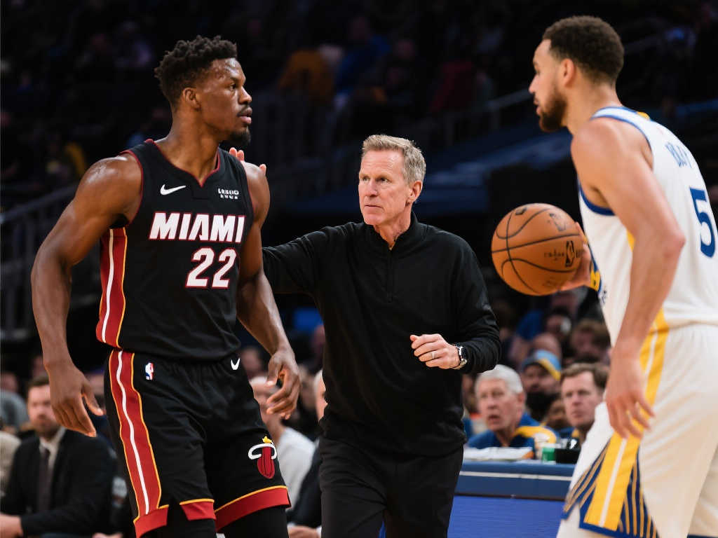 在高水平的 在高水平的