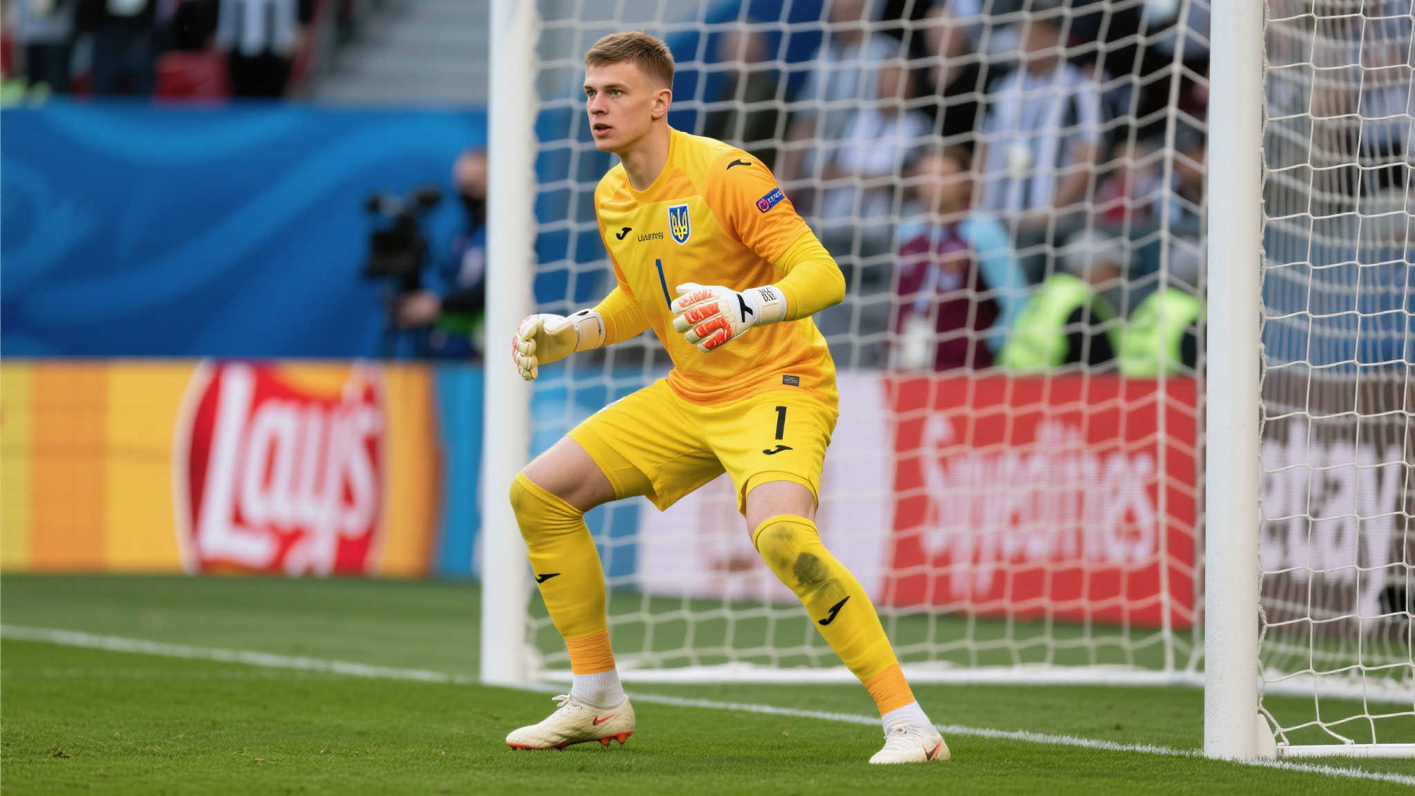 行为确有不 行为确有不