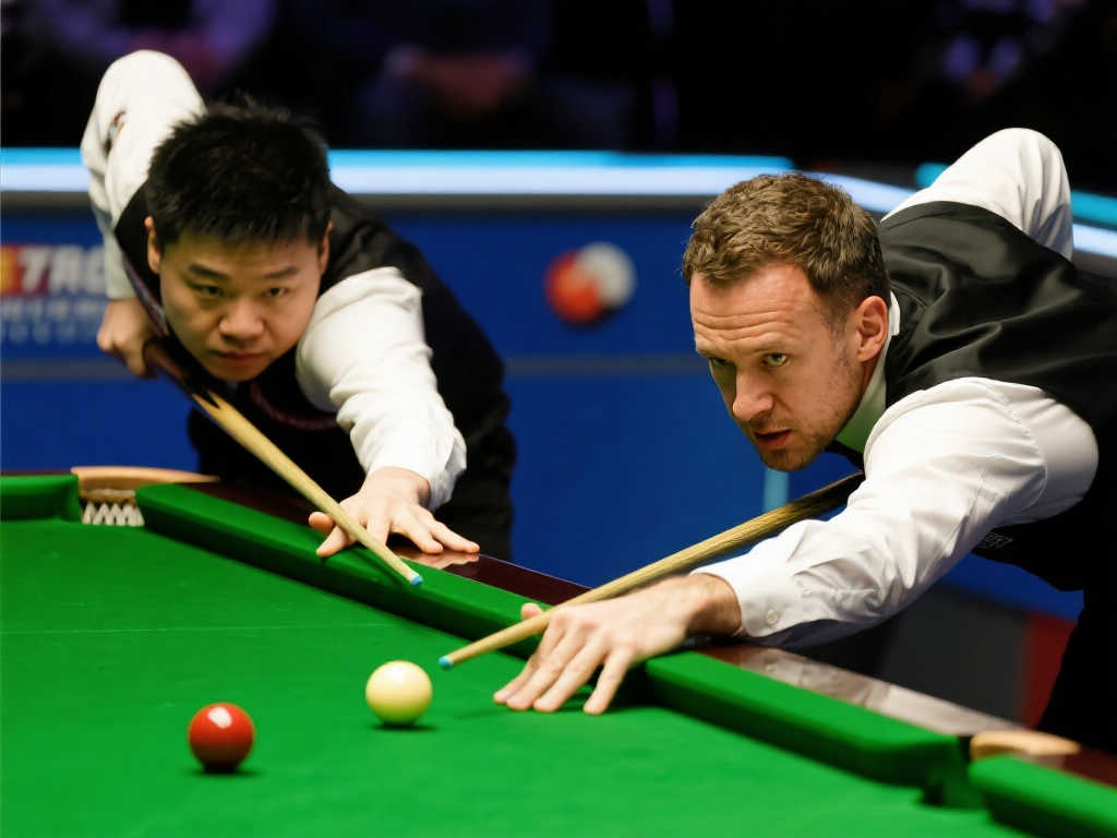 增添了光彩 增添了光彩