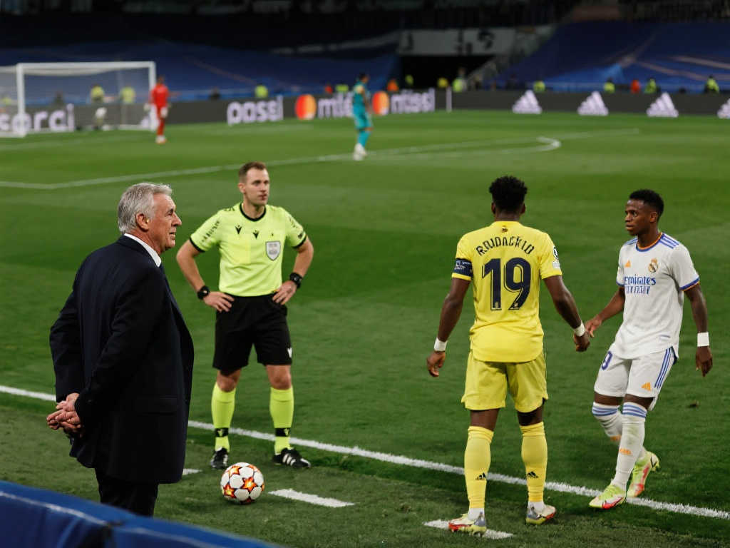 这种稳定的 这种稳定的