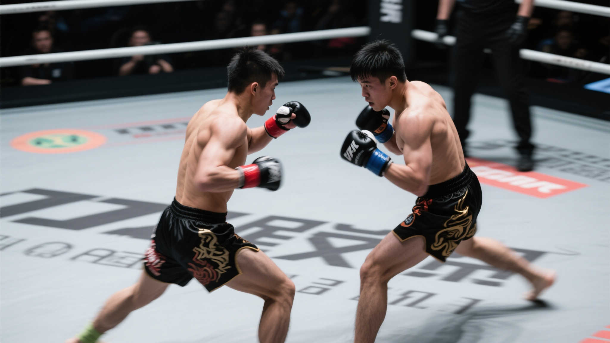 子们共同迎 子们共同迎