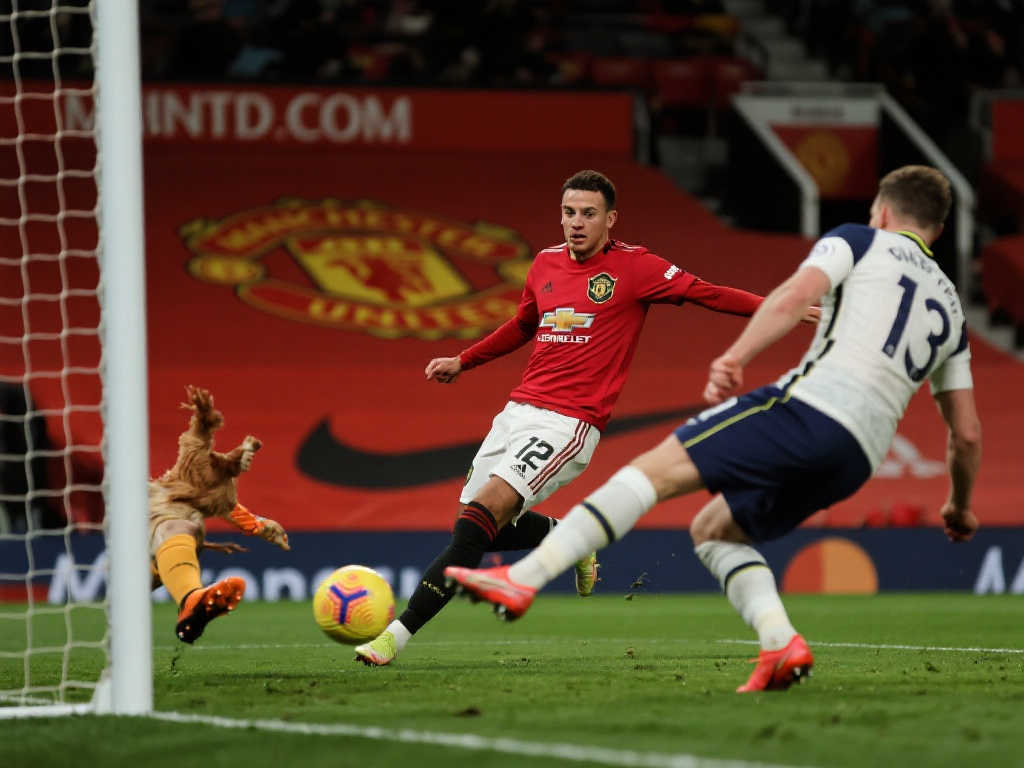 了一个不可 了一个不可