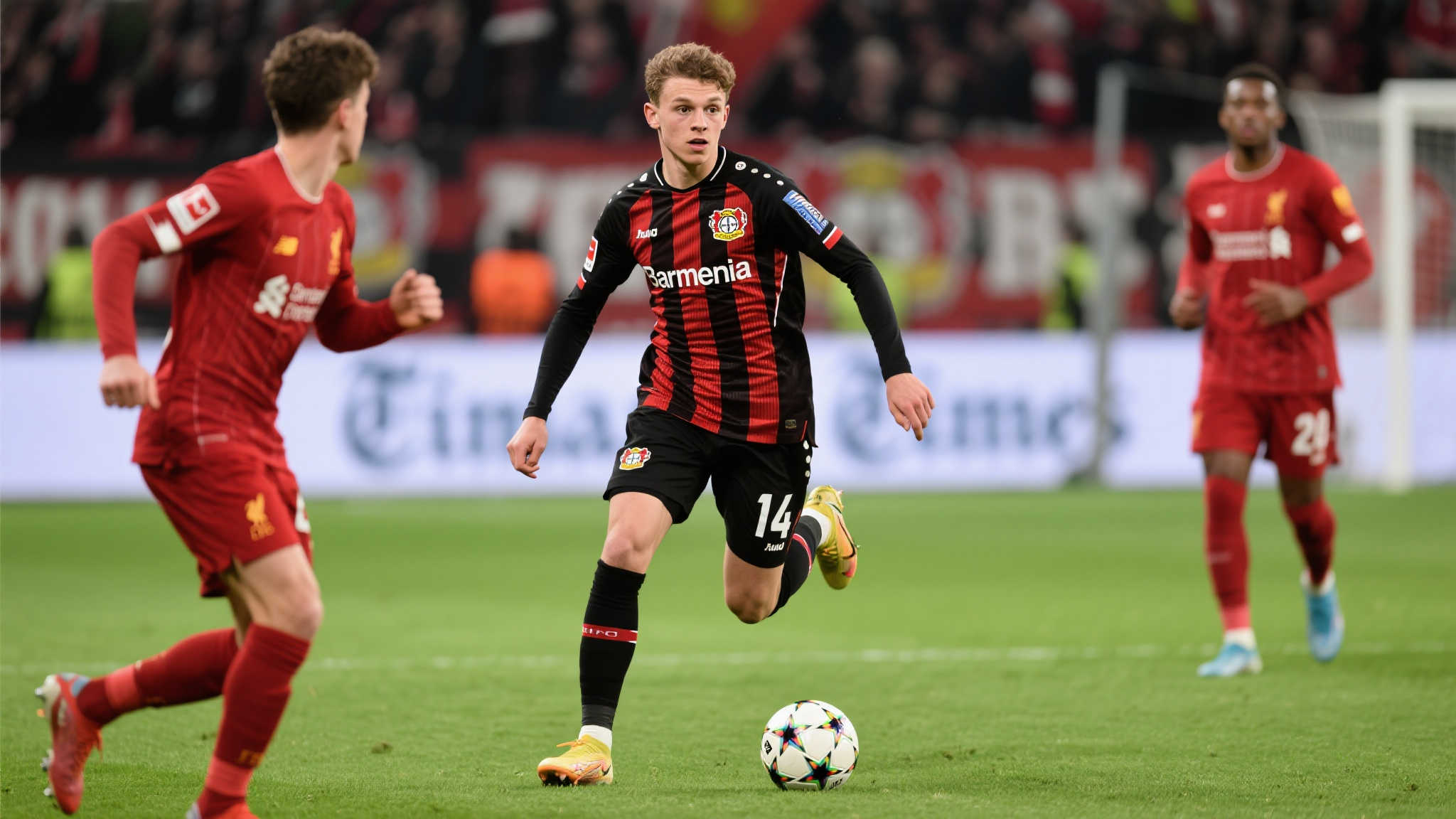 多球迷的热 多球迷的热